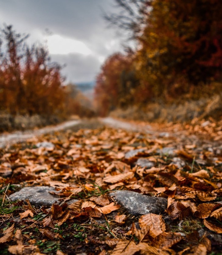 Autumn road- staying positive as it gets darker outside
