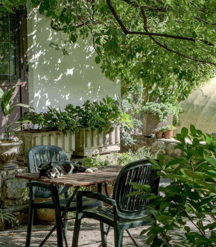 beautiful outdoor garden with chairs, table and plants