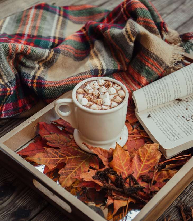 mug of hot chocolate, open book, blanket and Autumn leaves: romanticise your Autumn