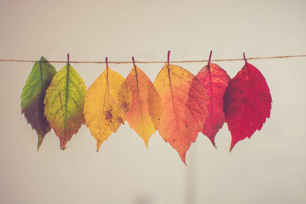 Autumn leaf bunting: romanticise your Autumn
