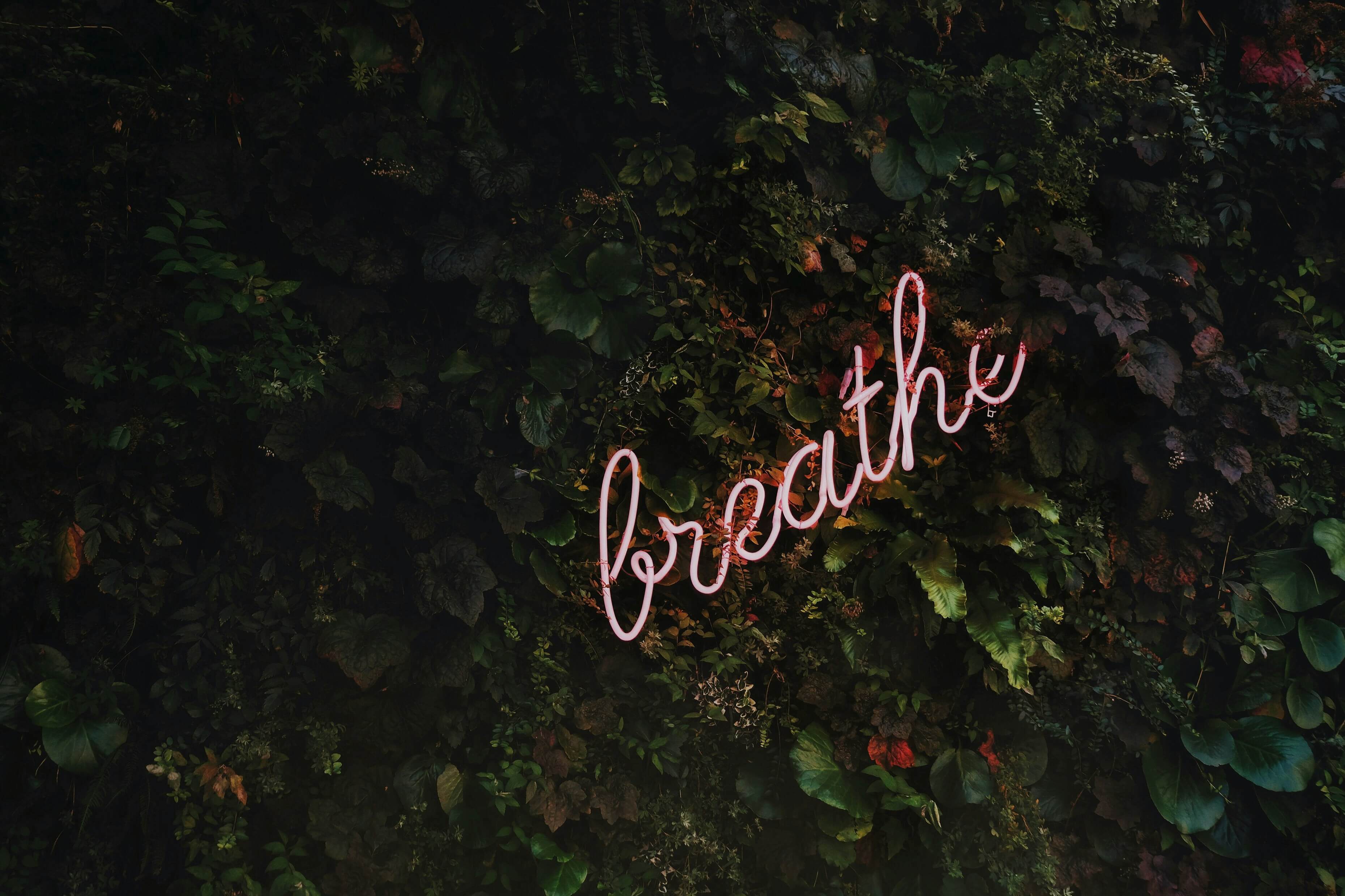 sign that says "breathe"