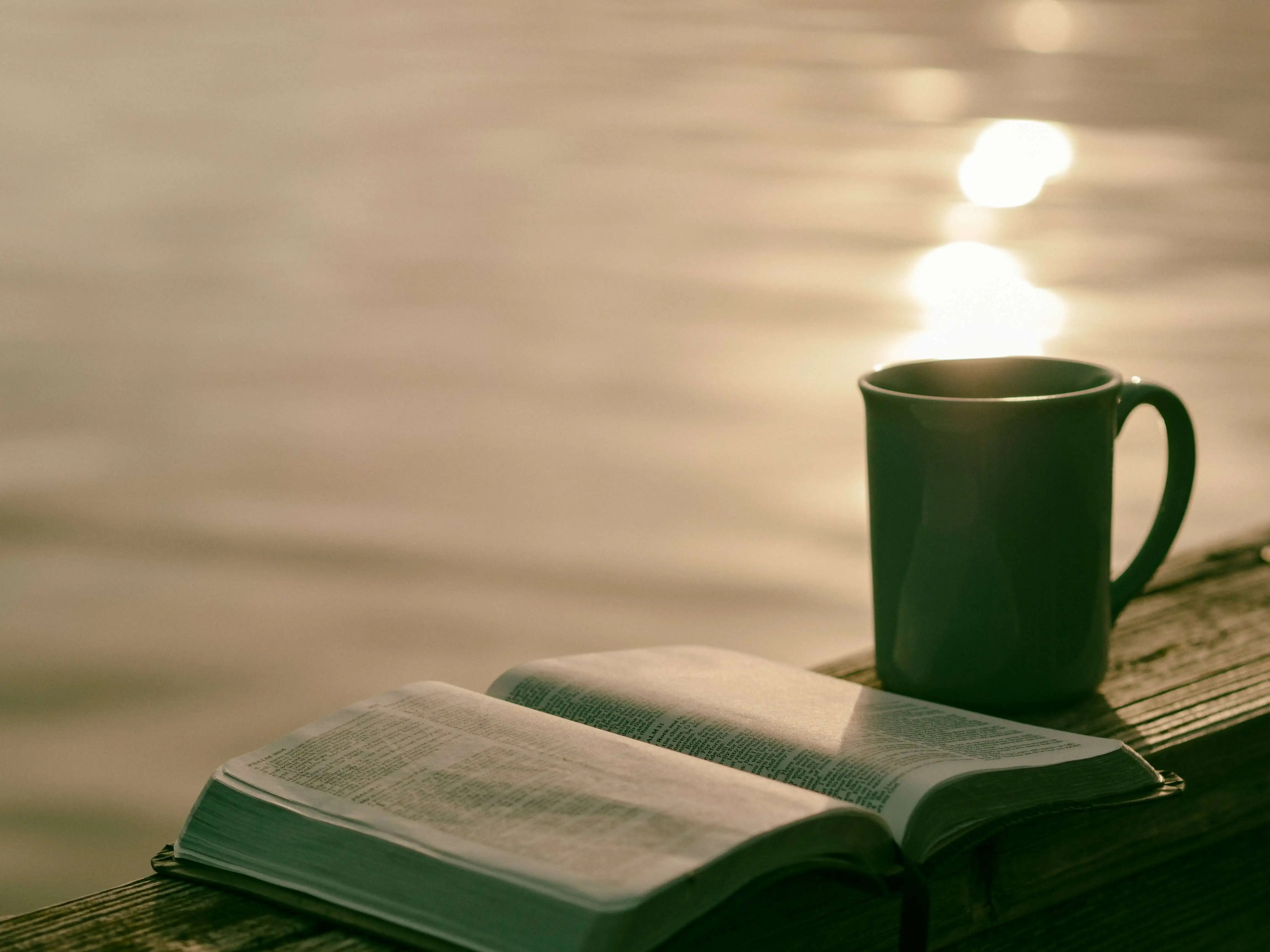 open book and mug, sunlight on water behind it: